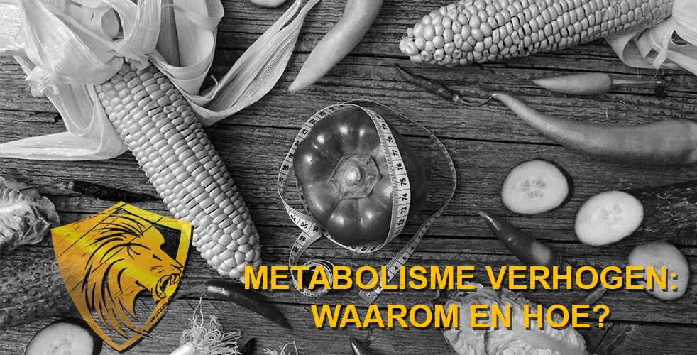 Metabolisme