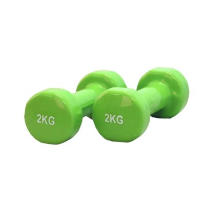 Vinyl Dumbbells - Focus Fitness - 2 x 2 kg